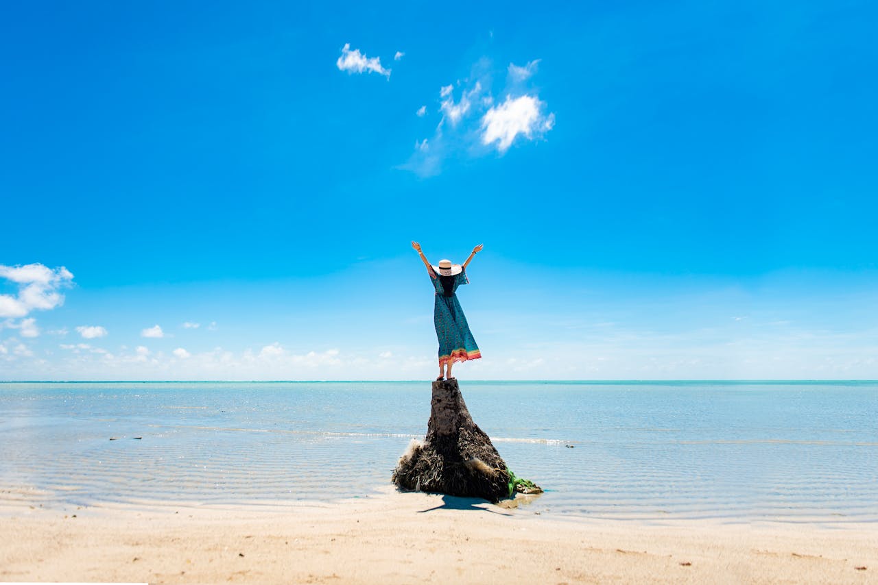 A woman stands triumphantly on a rock by the shoreline, celebrating freedom under a clear blue summer sky.